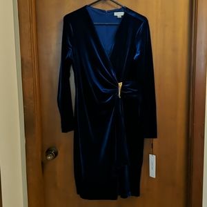 Calvin Klein Blue Velvet Dress